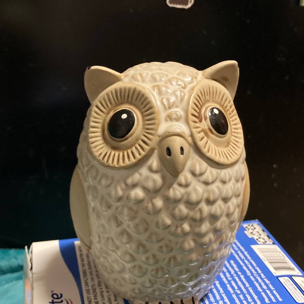 Ceramic Owl Figurine